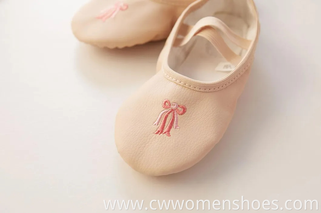Stylish E5013 Canvas Split Sole Ballet Dance Shoes for Women